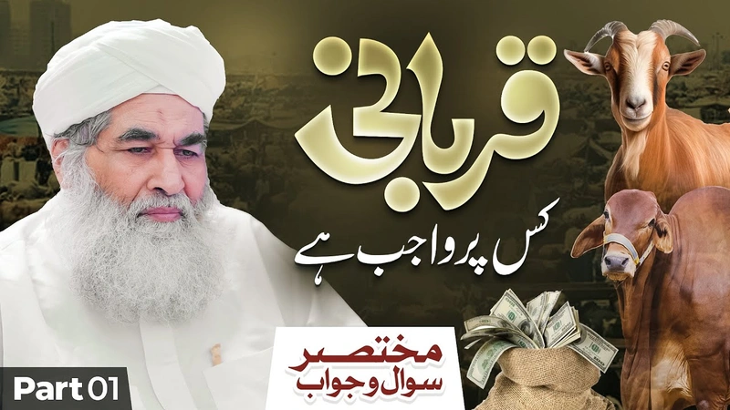 Qurbani Kis Par Wajib Hai? | Qurbani Se Mutalliq Sawal o Jawab (Part:01) | Bakra Eid Special 2024
